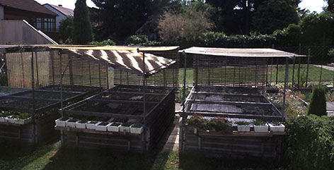 Frame.jpg (50943 bytes)