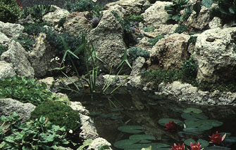 Rockgarden 1.jpg (43517 bytes)