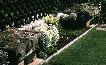 Trough.jpg (40590 bytes)